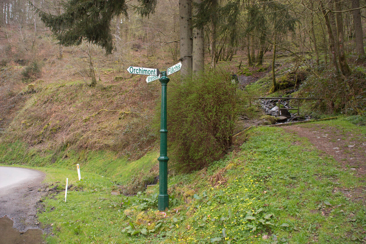 2008-04-25-0008.jpg