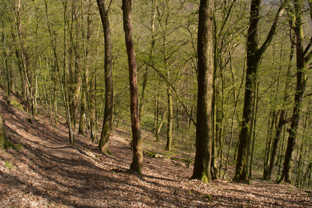 2008-04-26-0029.jpg