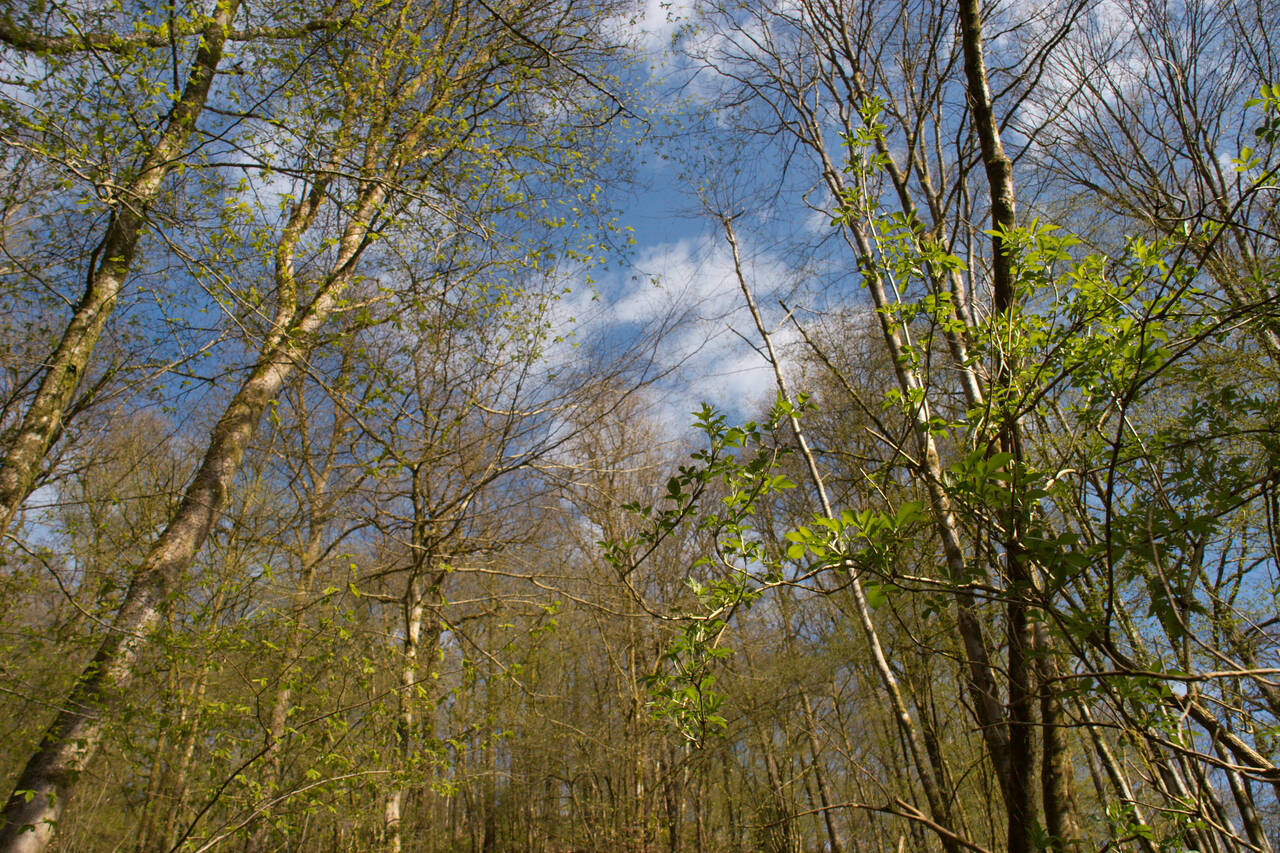 2008-04-26-0030.jpg