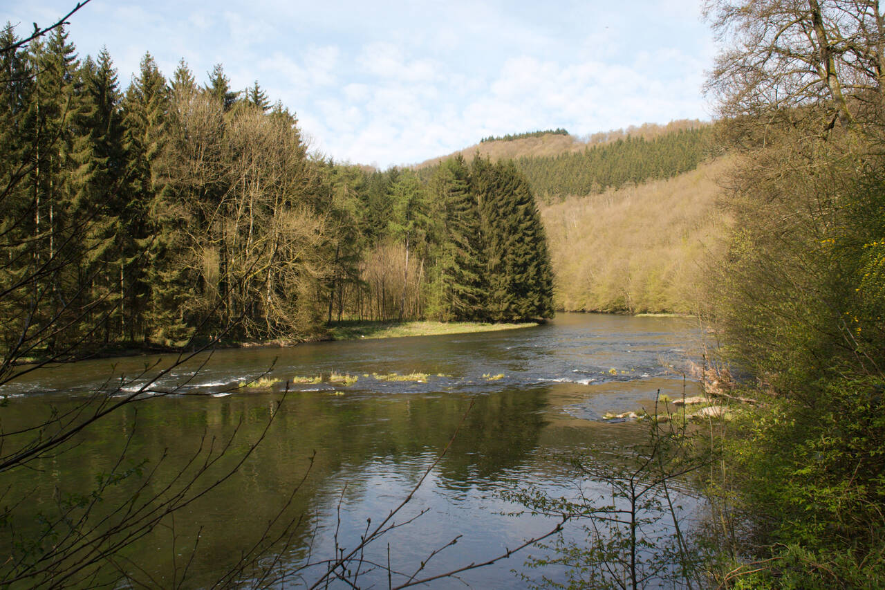 2008-04-26-0031.jpg