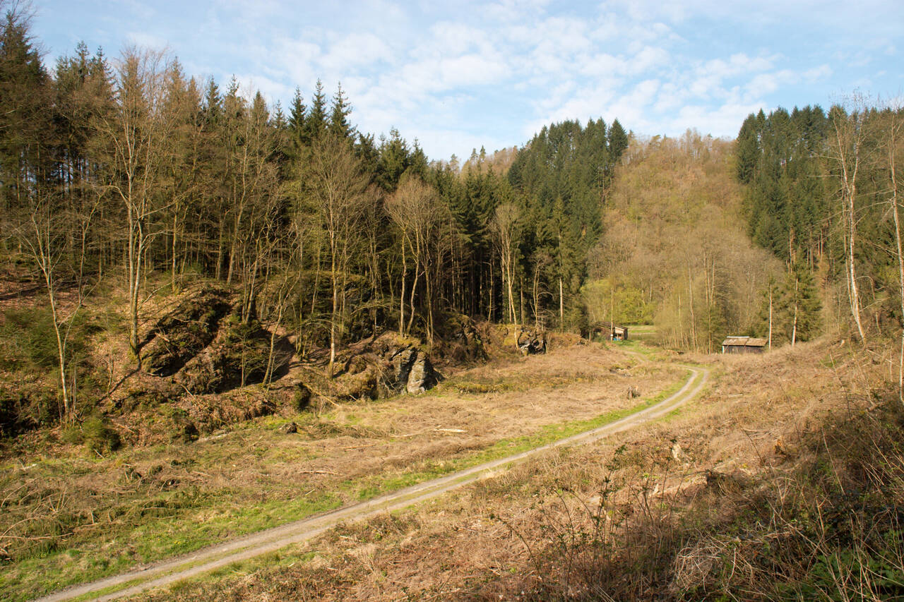 2008-04-26-0032.jpg