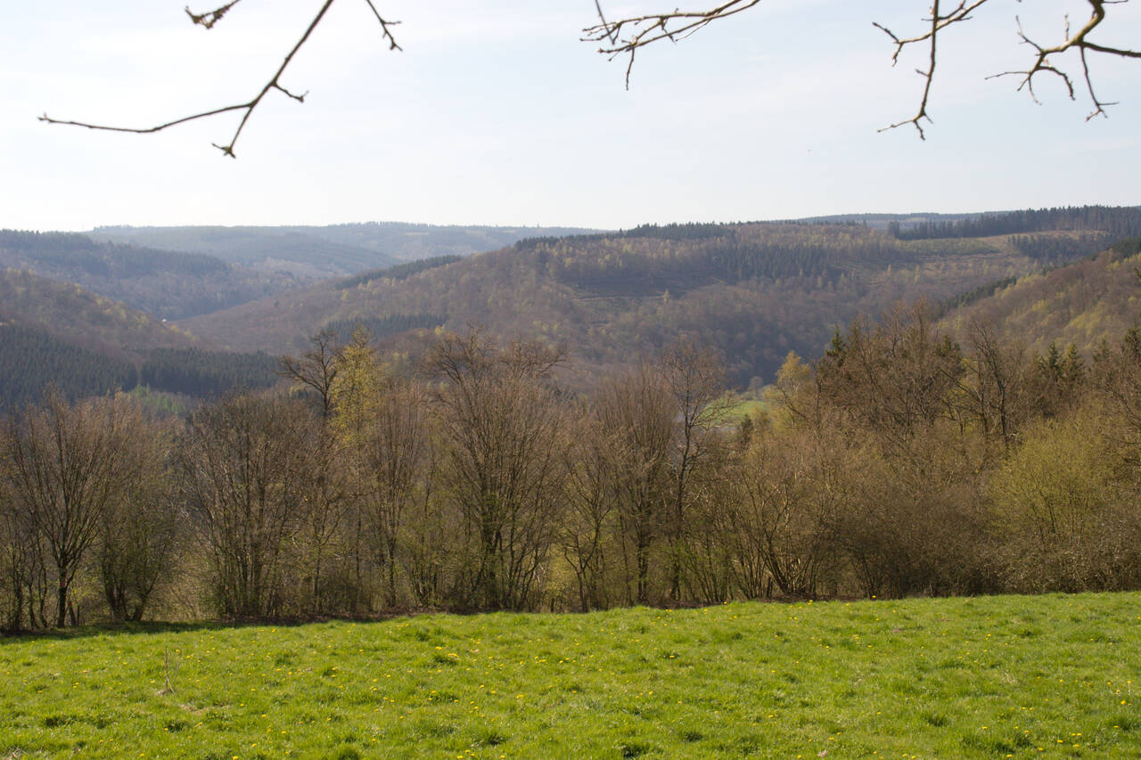 2008-04-26-0033.jpg