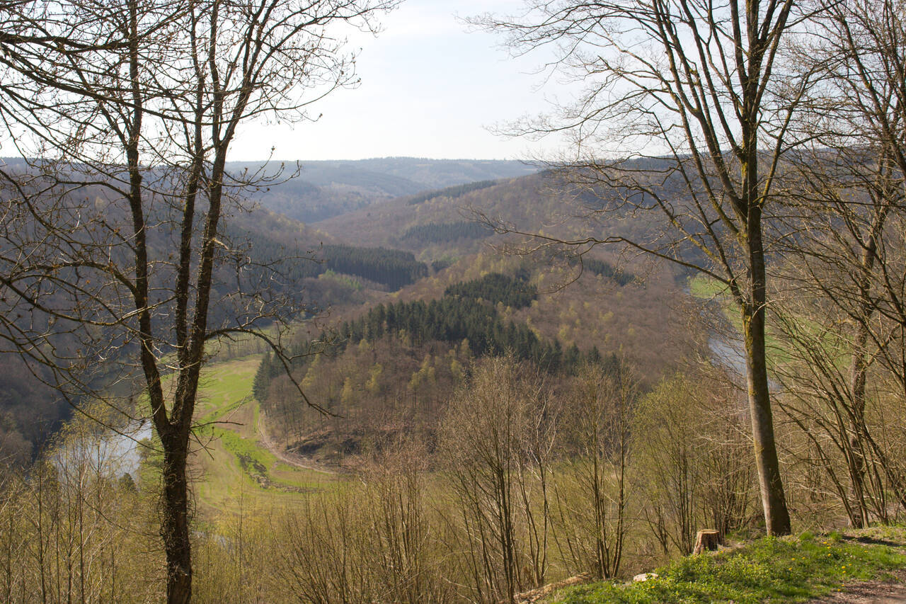 2008-04-26-0034.jpg
