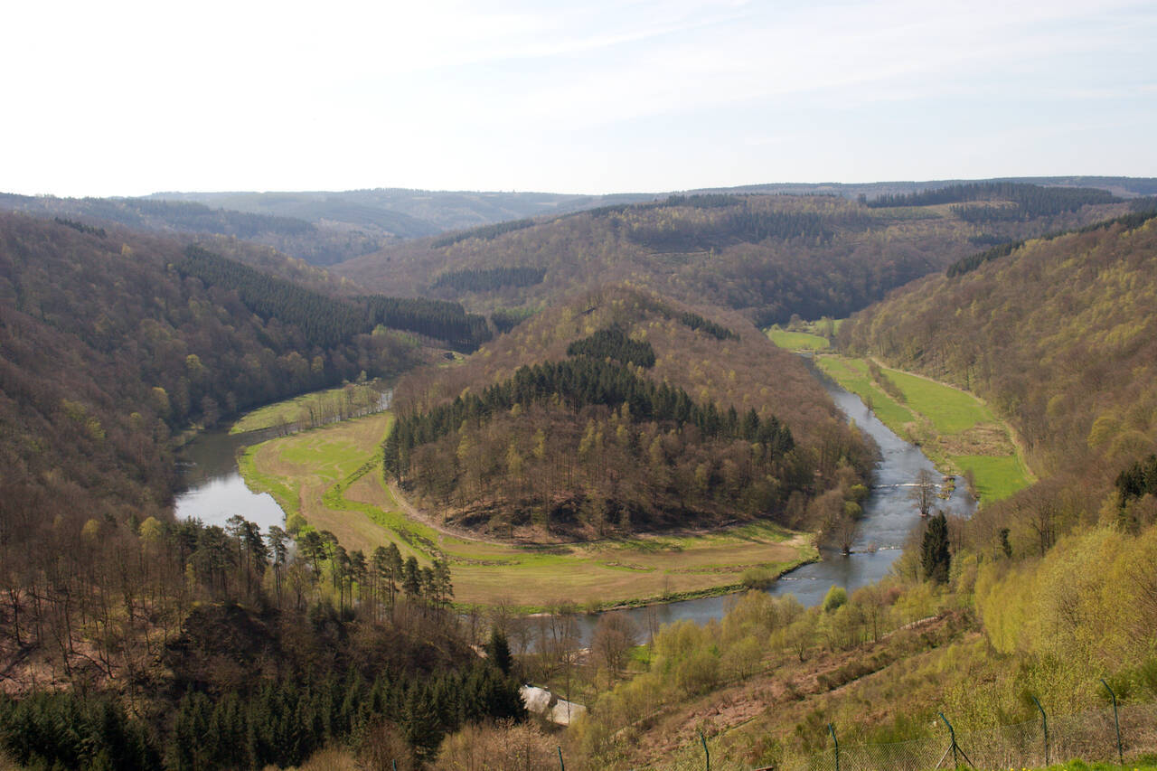 2008-04-26-0035.jpg