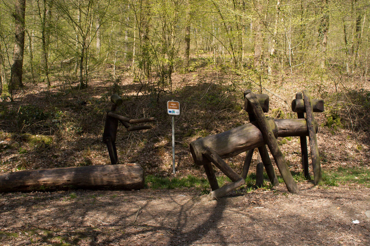 2008-04-26-0042.jpg