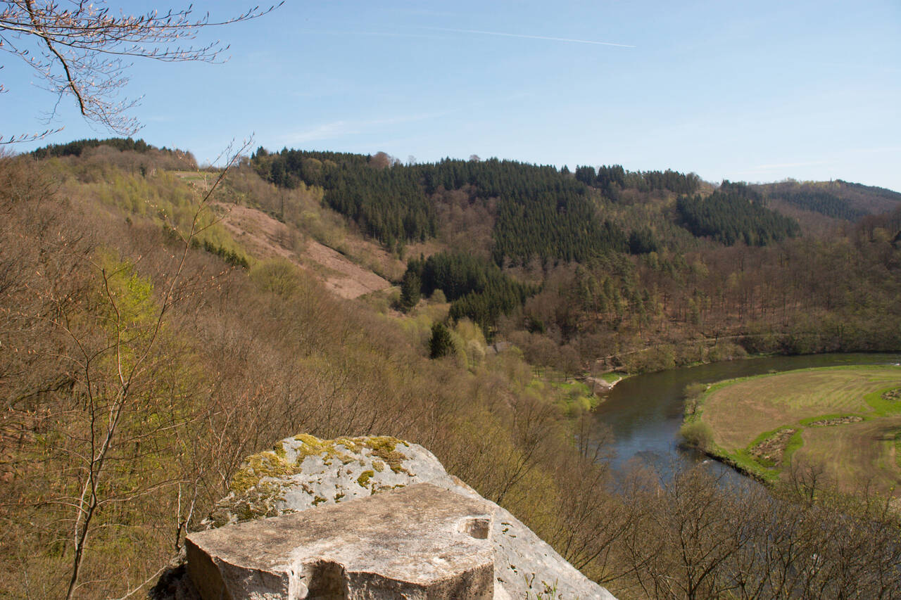 2008-04-26-0046.jpg