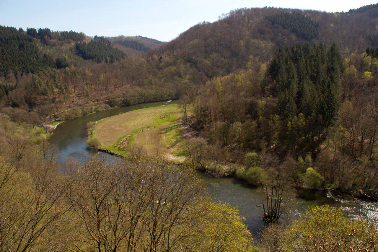 2008-04-26-0047.jpg