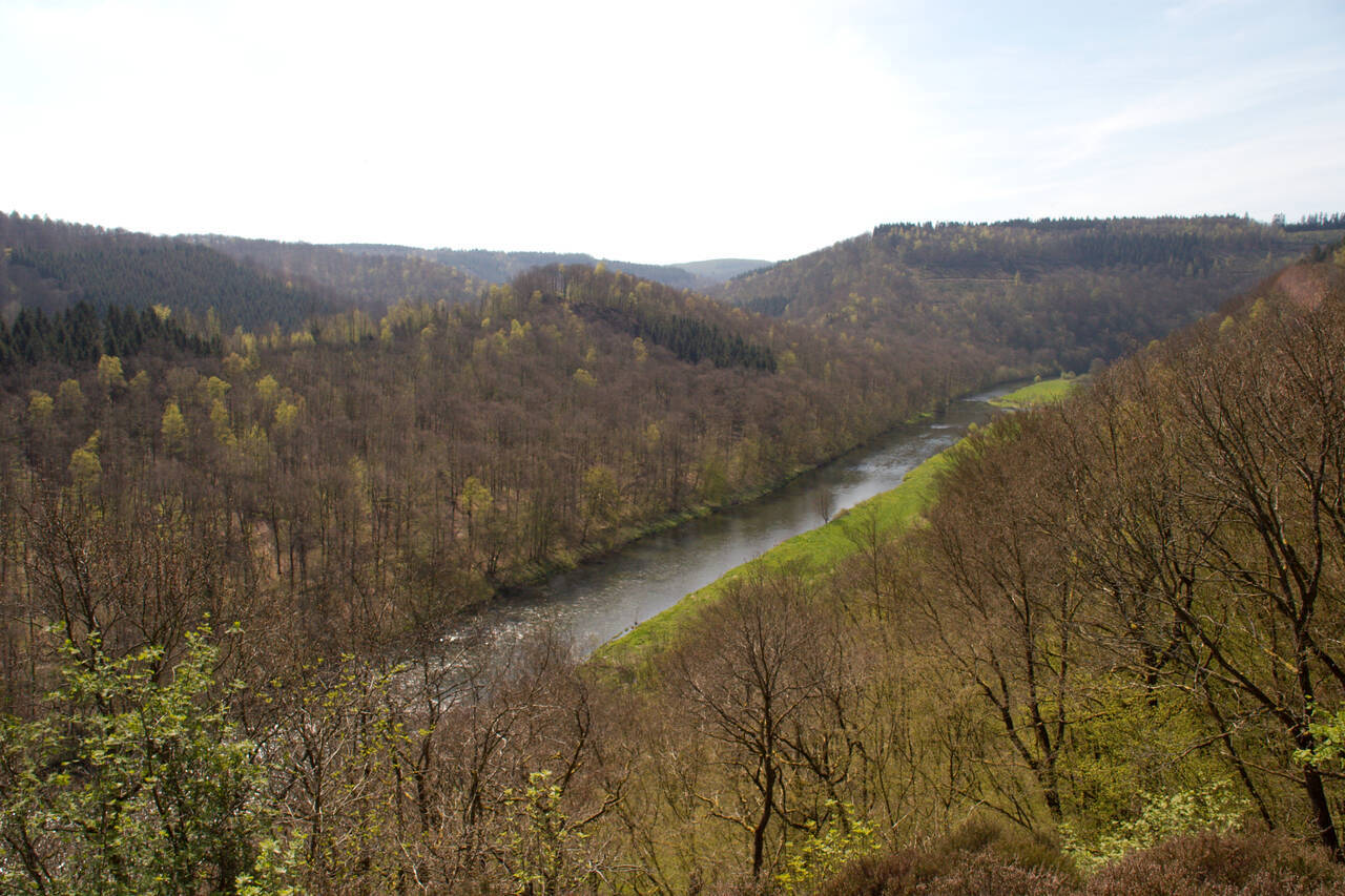 2008-04-26-0049.jpg