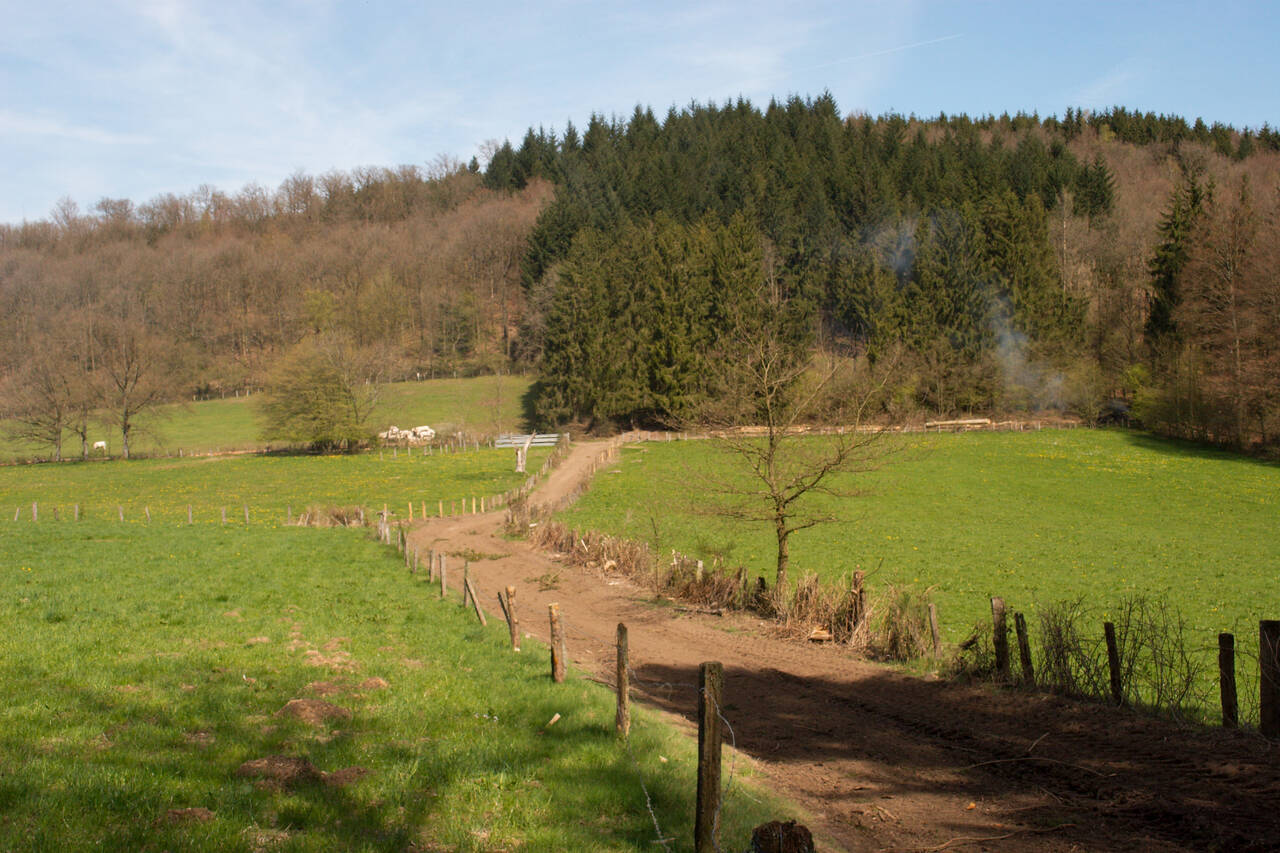 2008-04-26-0050.jpg