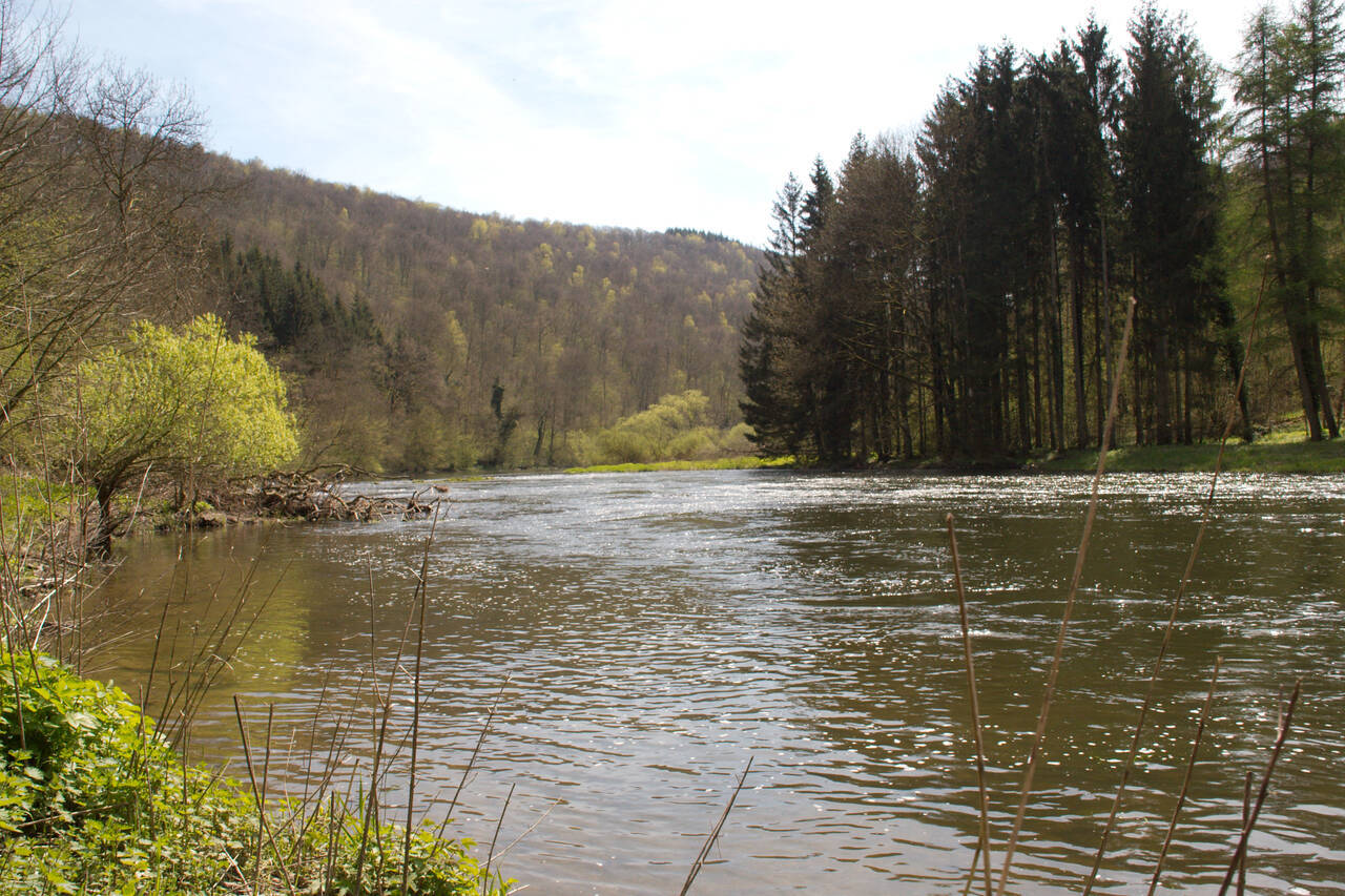2008-04-26-0052.jpg