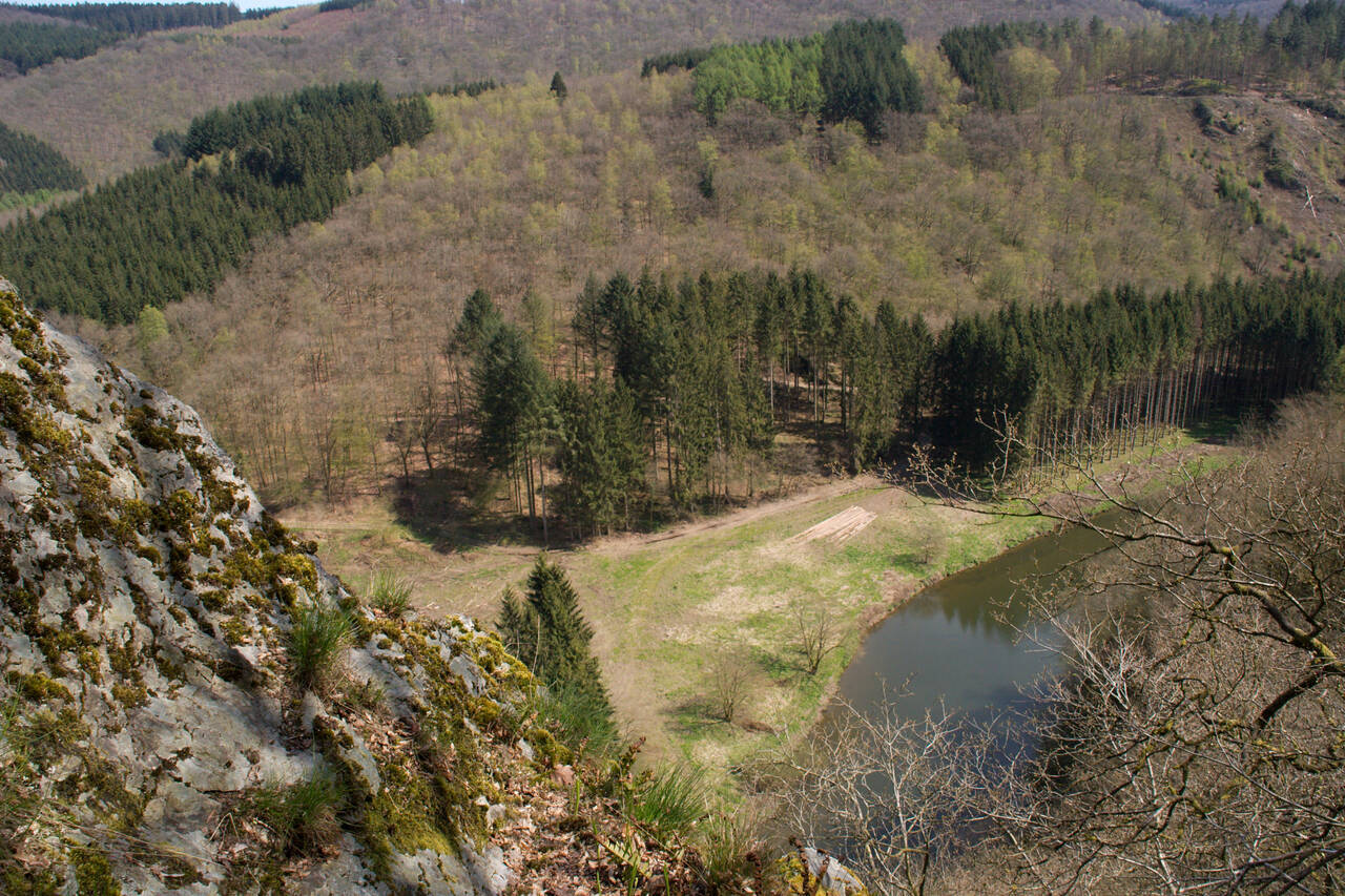 2008-04-26-0056.jpg