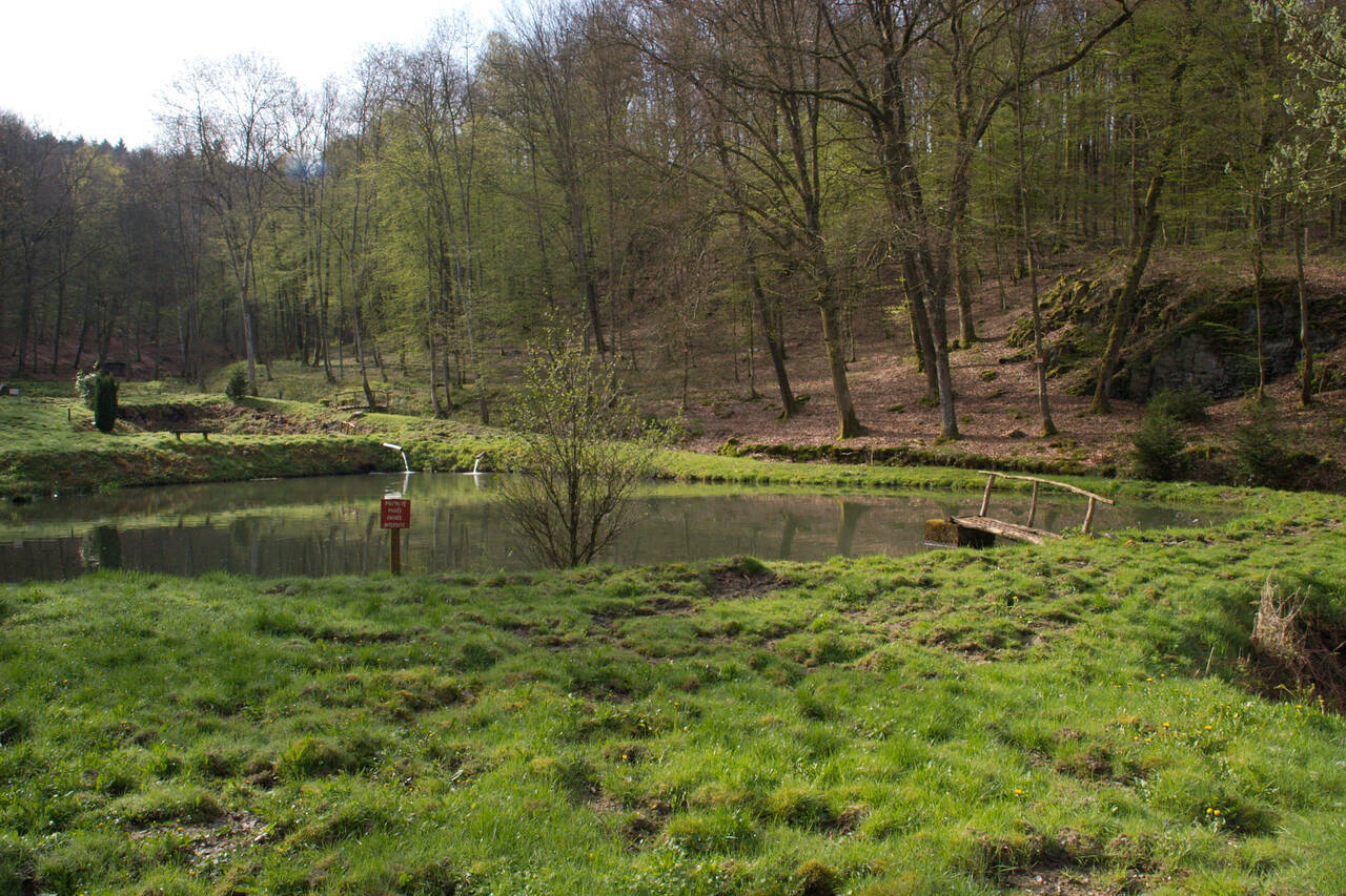 2008-04-27-0062.jpg