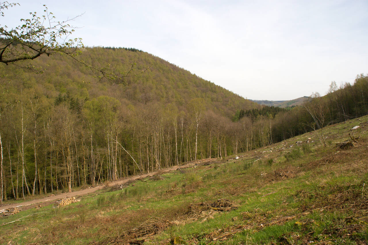 2008-04-27-0067.jpg
