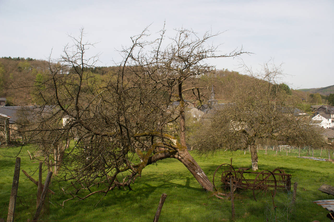 2008-04-27-0074.jpg