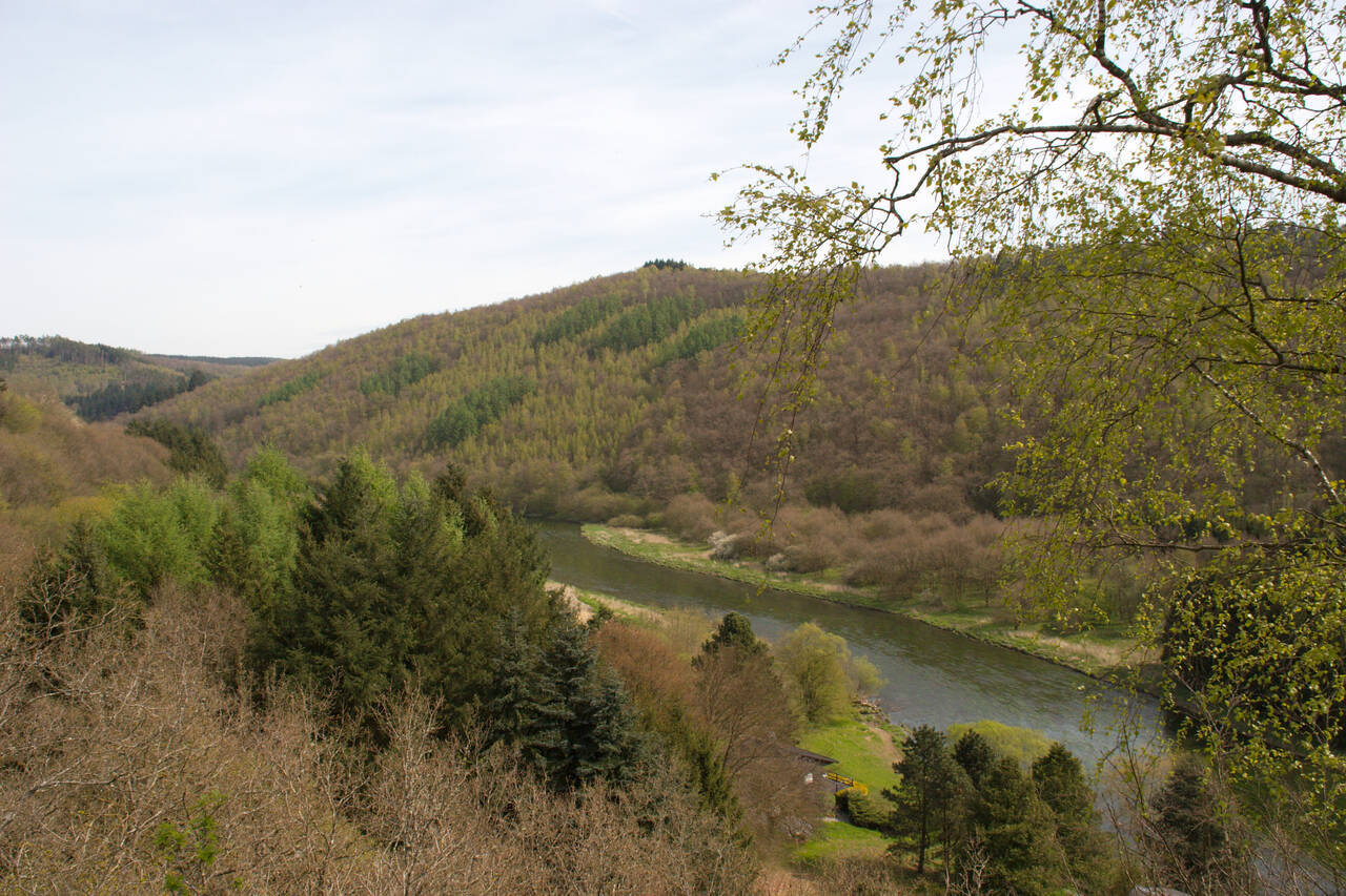 2008-04-27-0075.jpg