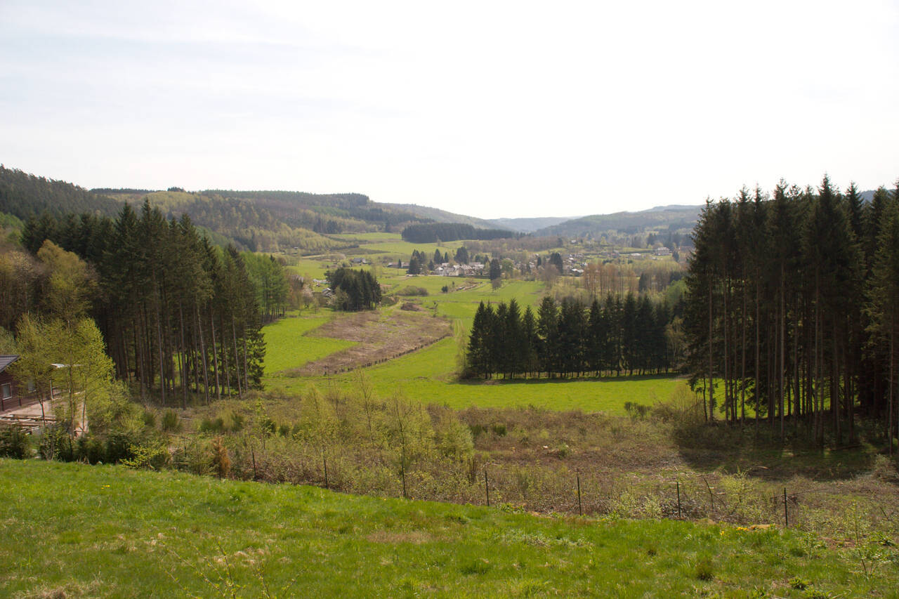 2008-04-27-0081.jpg