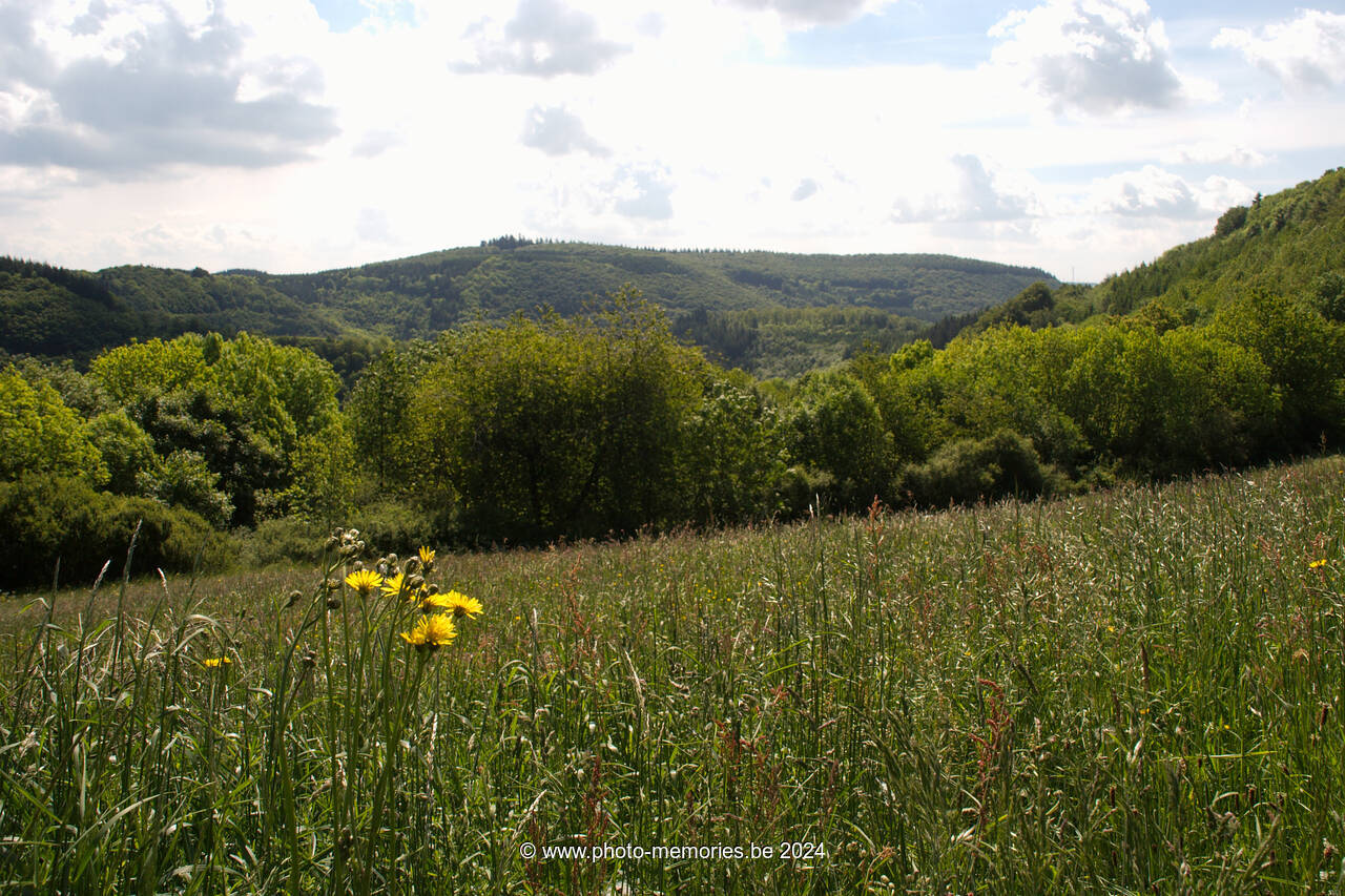 2009-05-22-0020.jpg