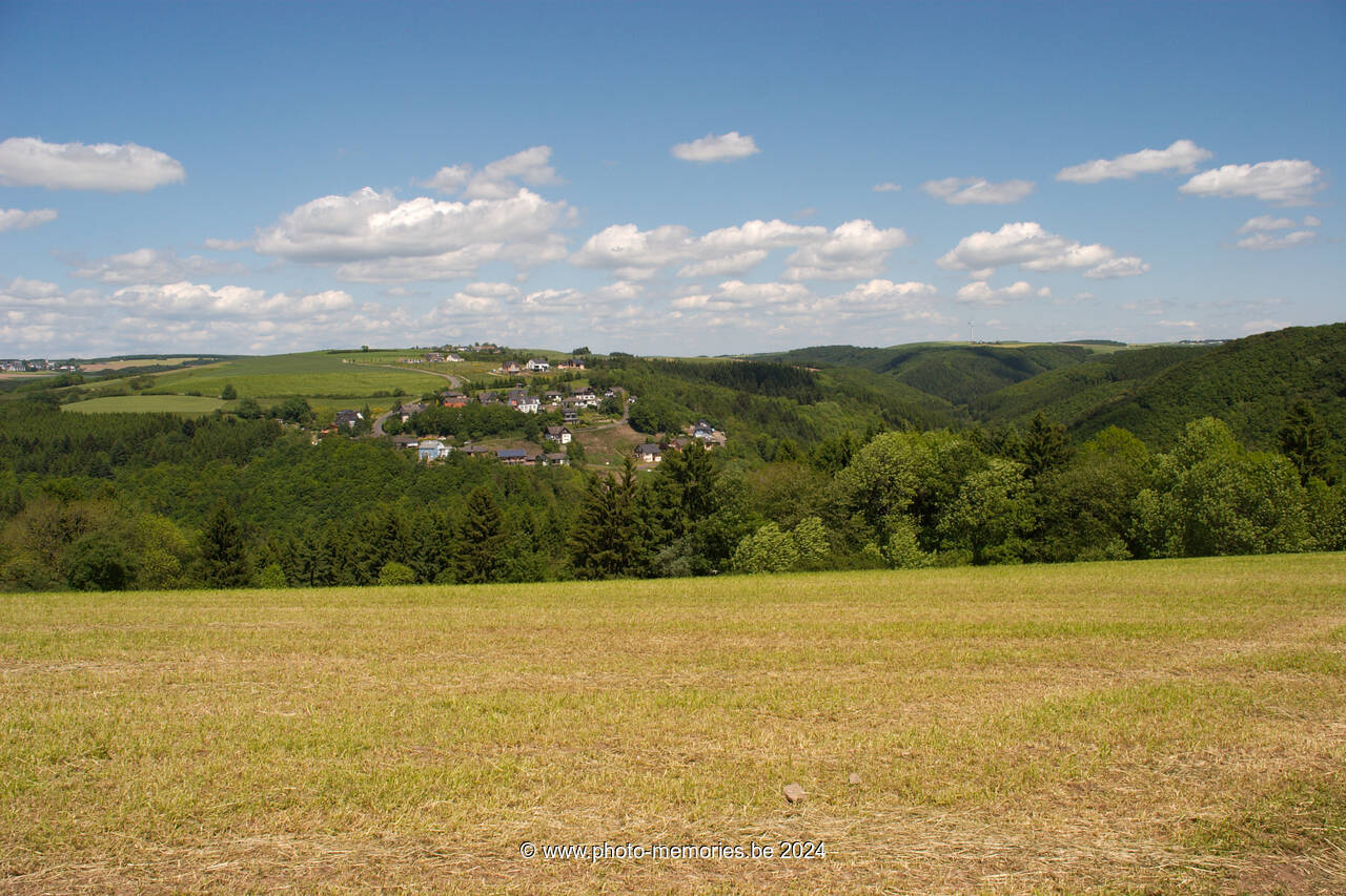 2009-05-22-0031.jpg