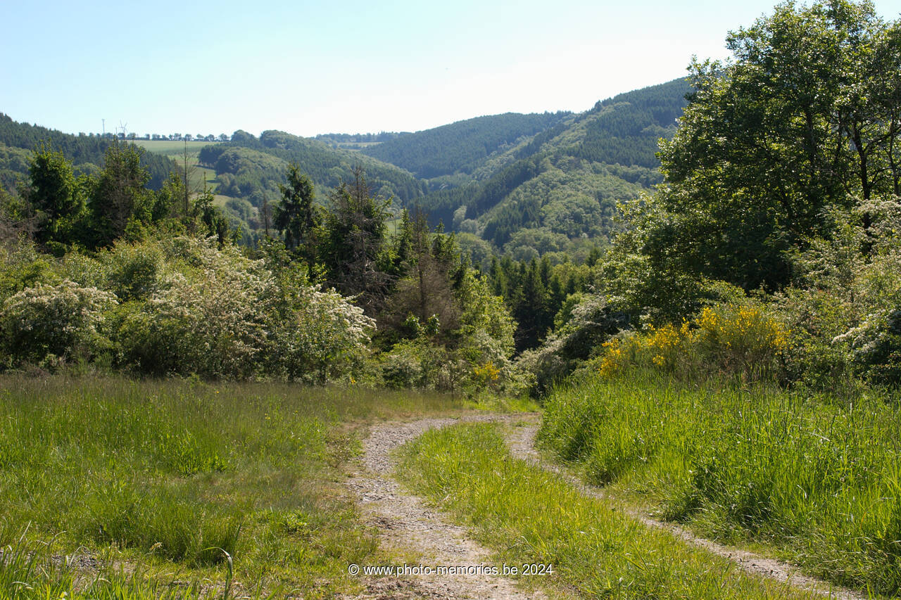2009-05-23-0039.jpg