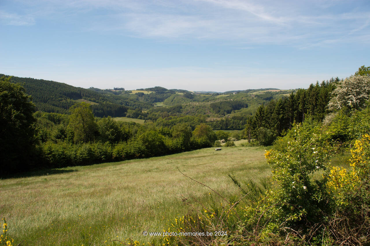 2009-05-23-0045.jpg