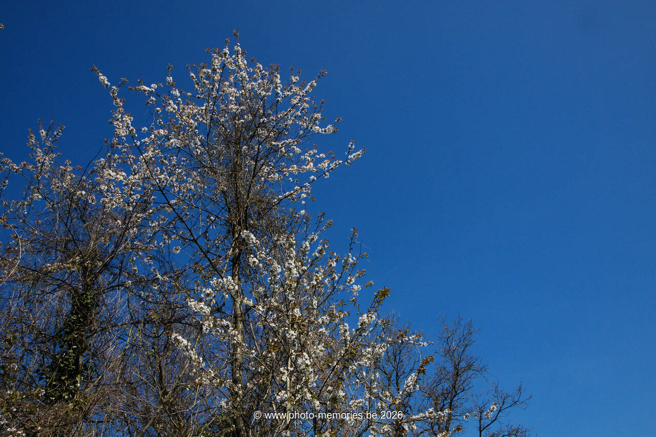2010-04-24-0006.jpg