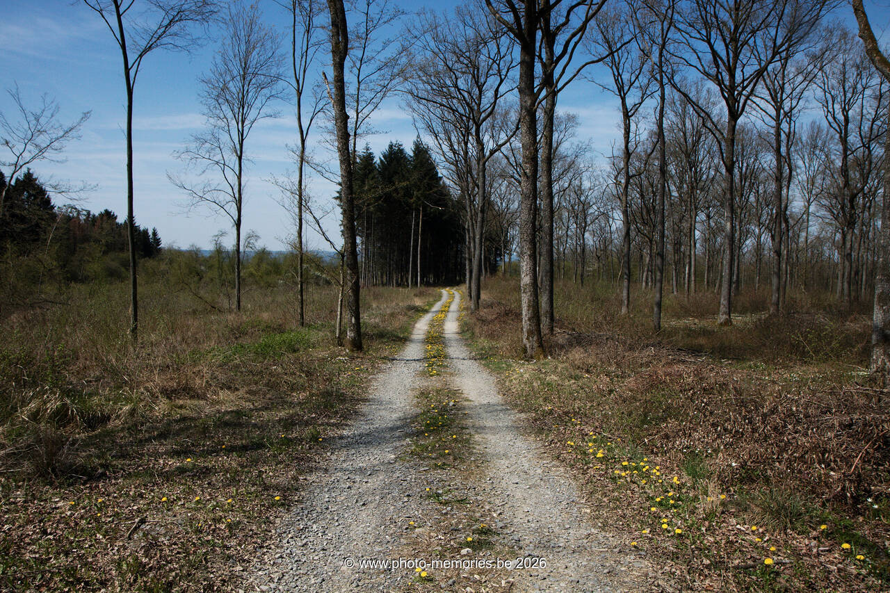 2010-04-24-0014.jpg