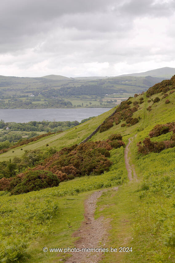 2013-06-22-0004.jpg