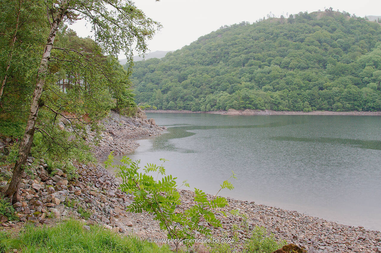 2013-06-27-0148.jpg