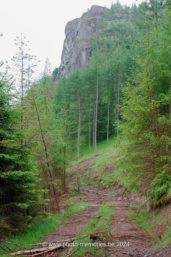 2013-06-27-0149.jpg