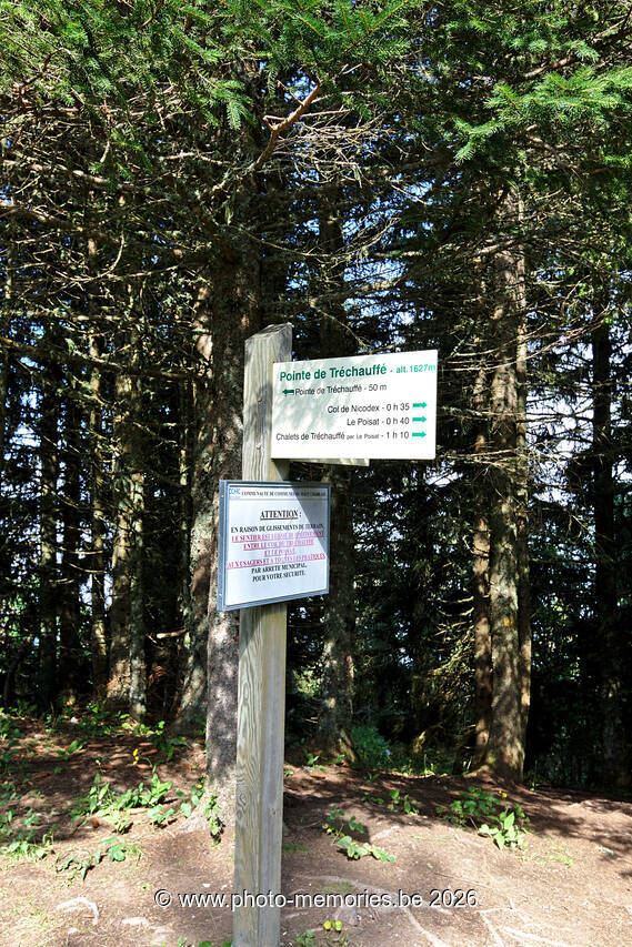 2021-08-20-0006.jpg