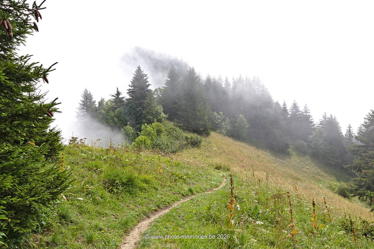 2021-08-20-0010.jpg