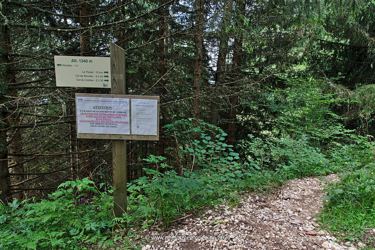 2021-08-20-0013.jpg