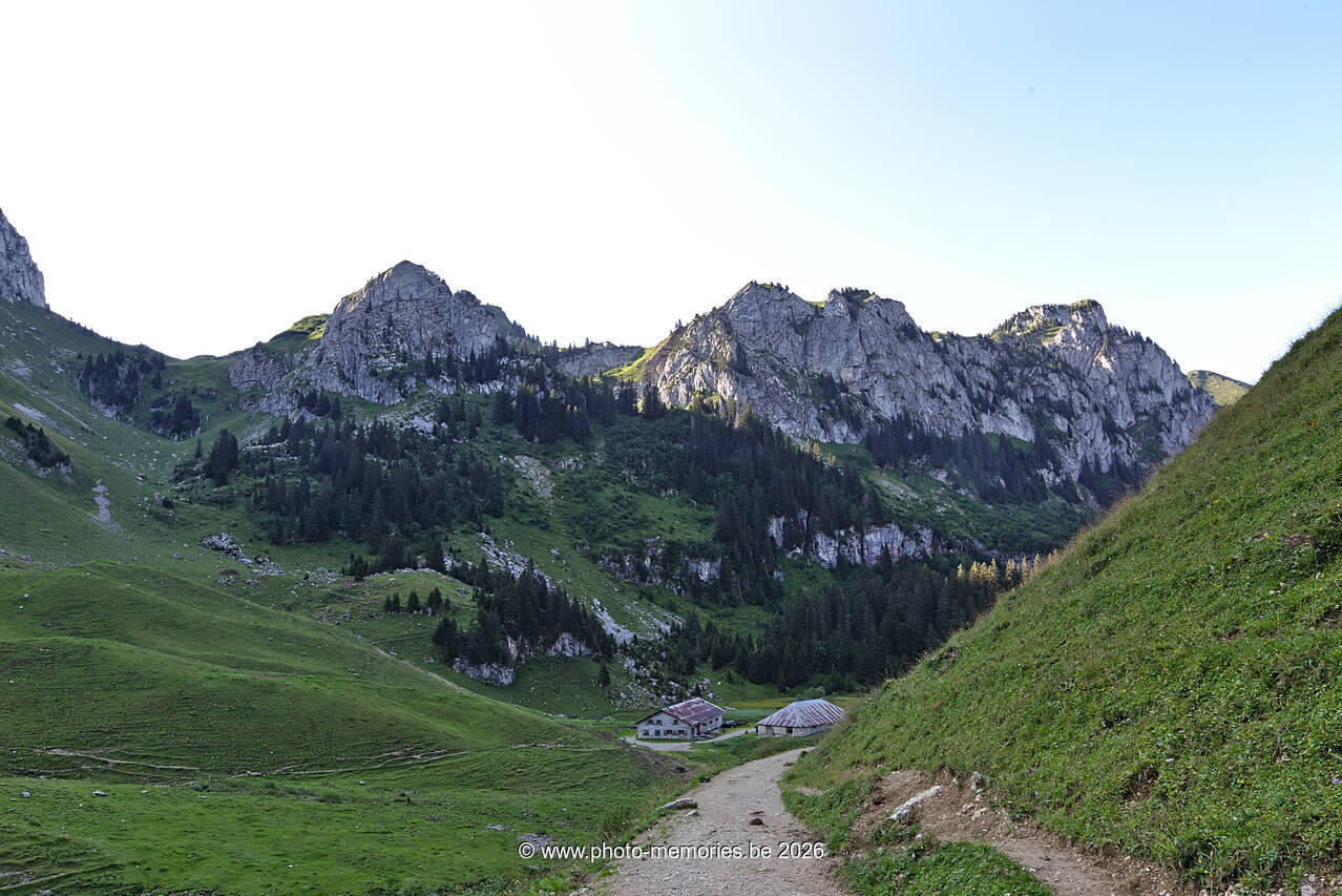 2021-08-21-0022.jpg