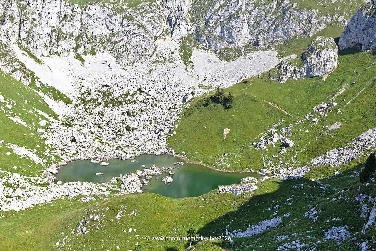2021-08-21-0031.jpg