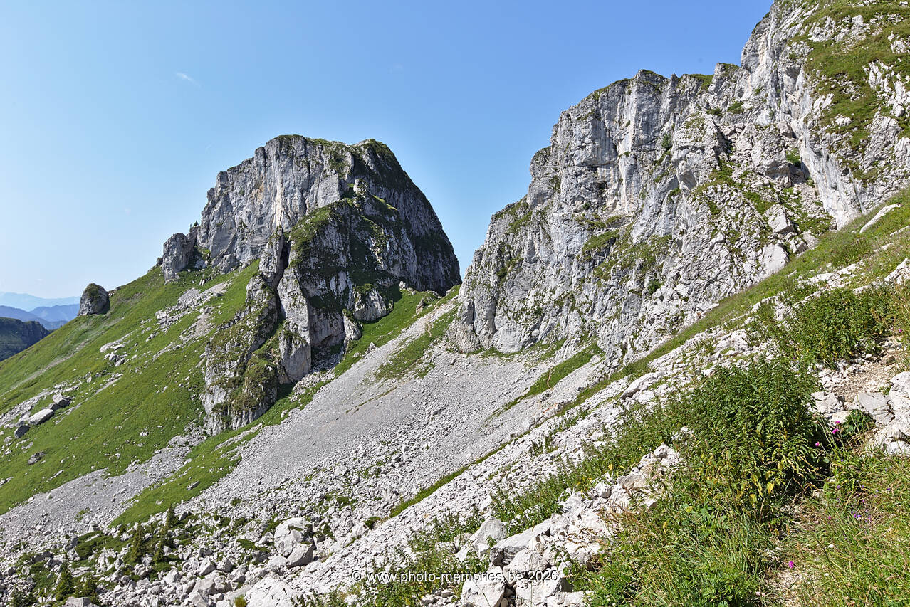2021-08-21-0033.jpg