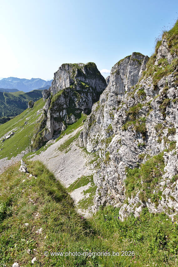 2021-08-21-0034.jpg