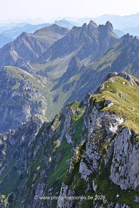 2021-08-21-0039.jpg