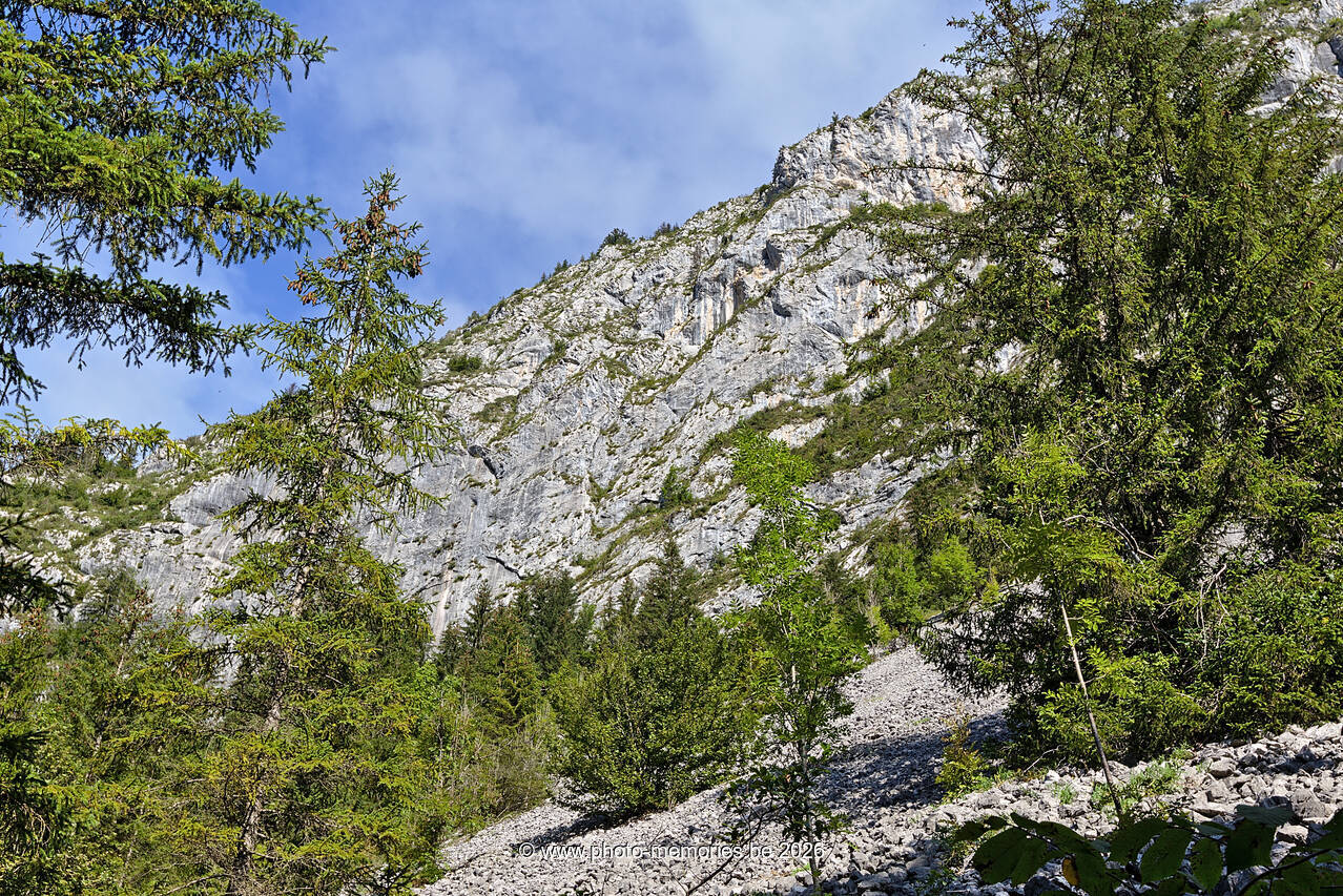 2021-08-25-0068.jpg