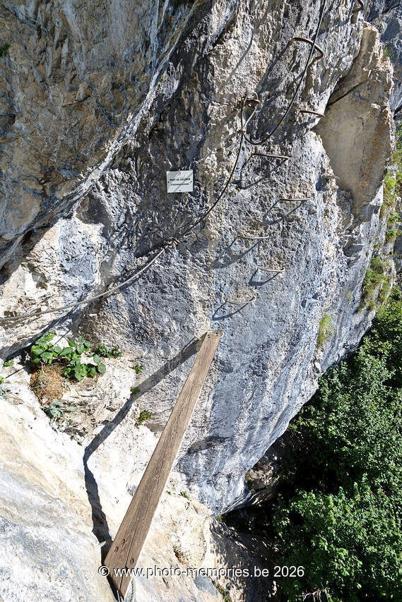 2021-08-25-0072.jpg