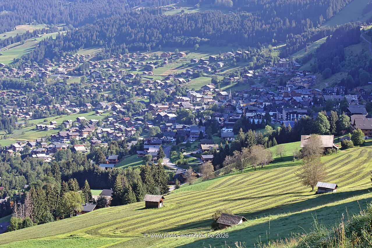 2021-08-26-0092.jpg