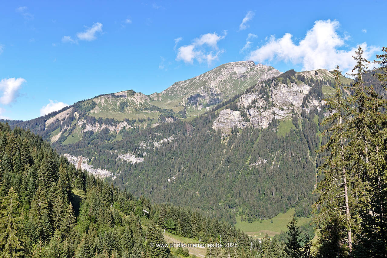 2021-08-26-0094.jpg