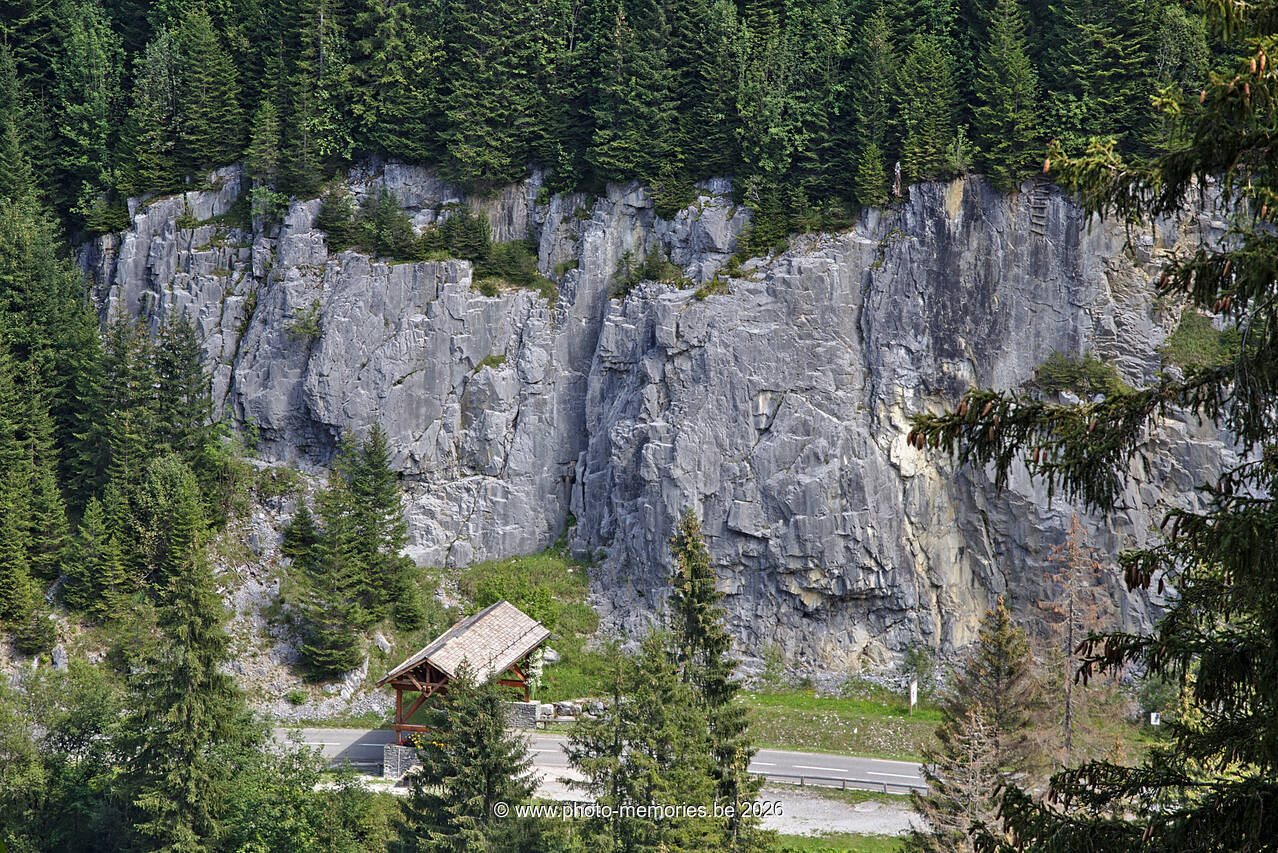 2021-08-26-0111.jpg