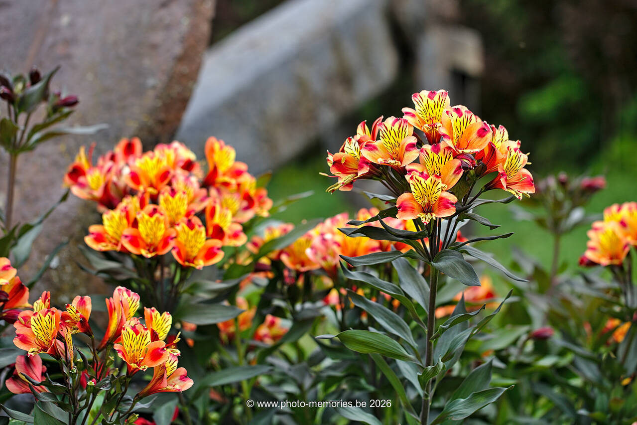 2021-09-03-0177.jpg