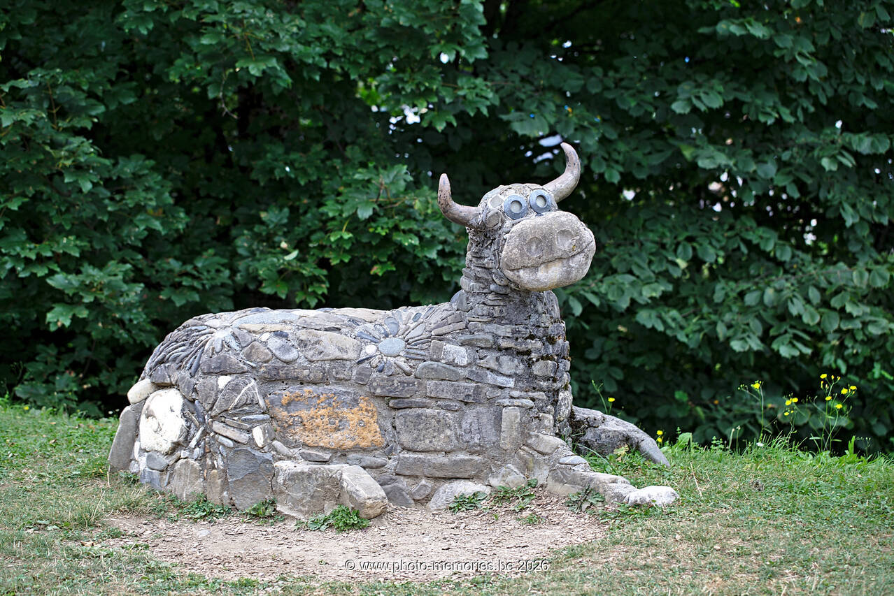 2021-09-03-0181.jpg