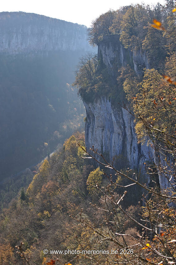 2021-11-06-0004.jpg