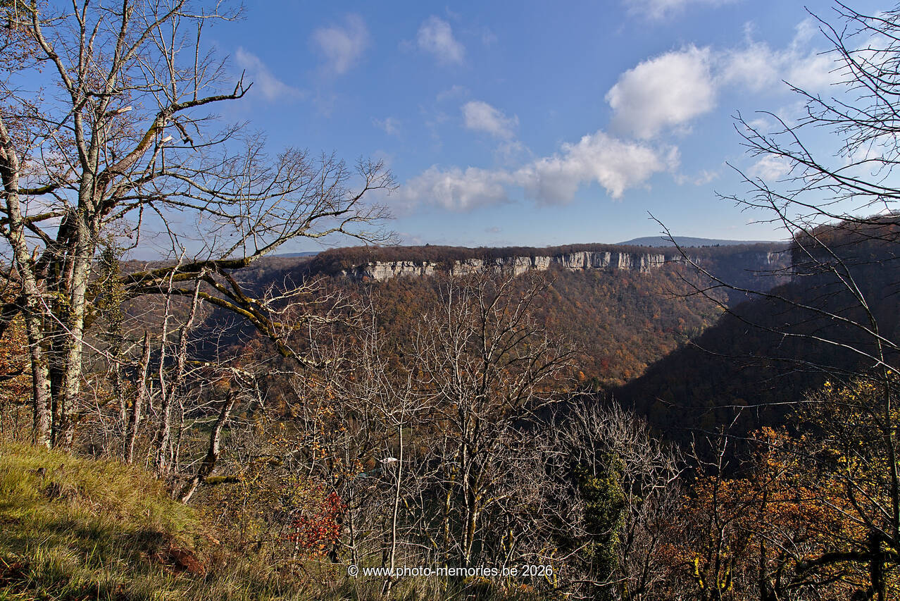 2021-11-06-0007.jpg