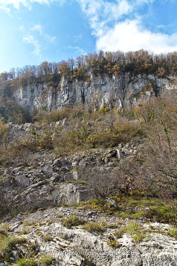 2021-11-06-0016.jpg