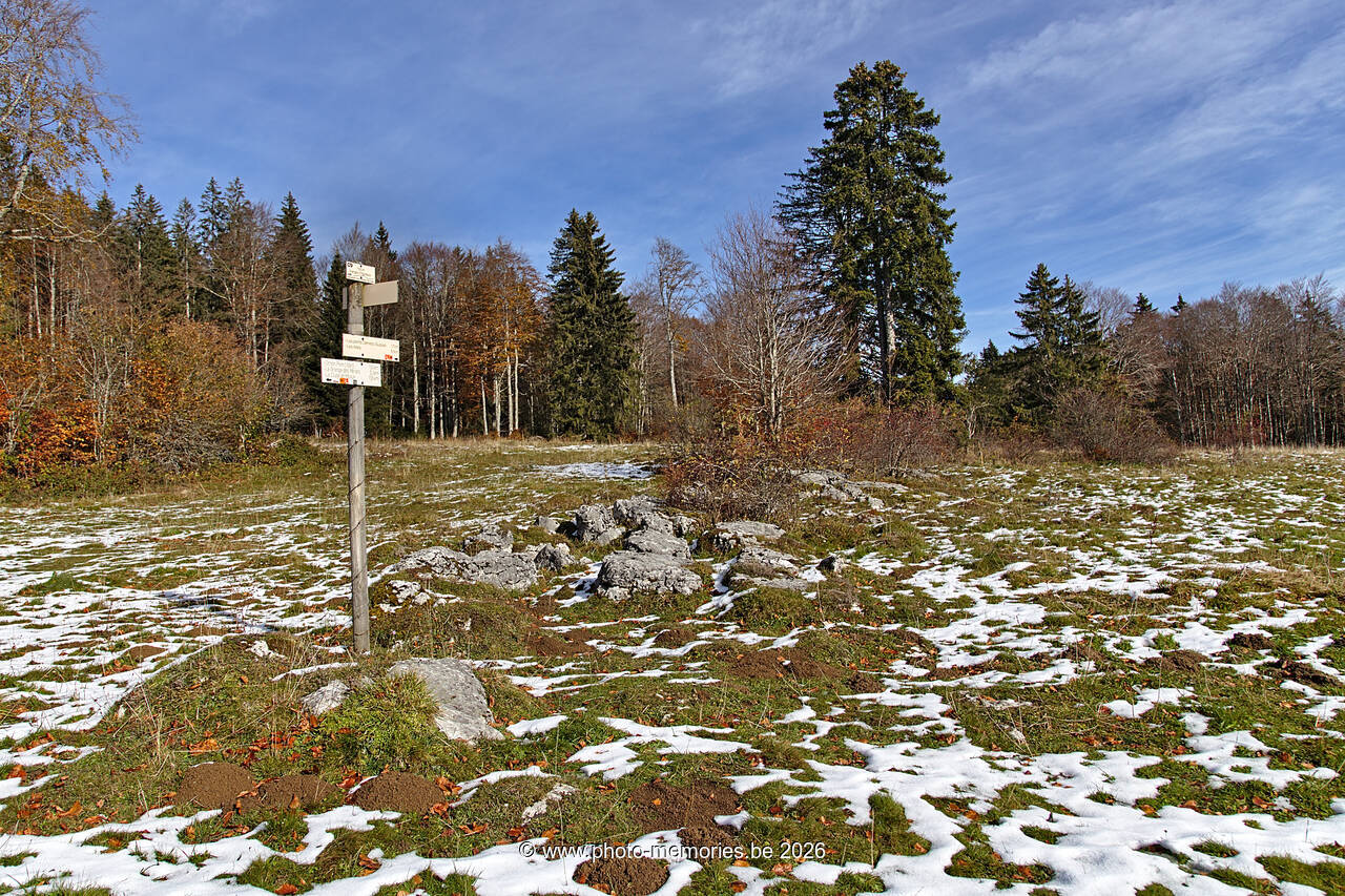 2021-11-07-0049.jpg