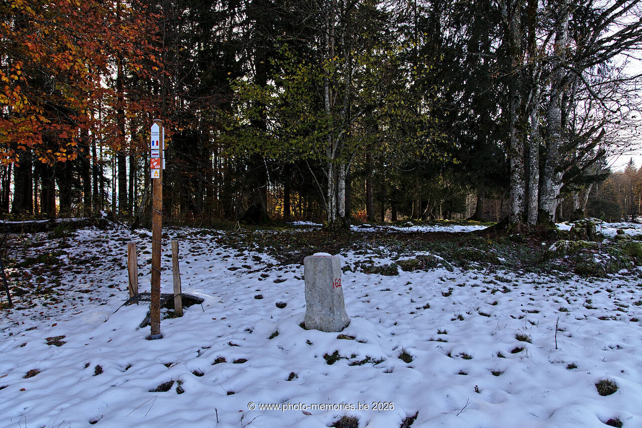 2021-11-07-0052.jpg