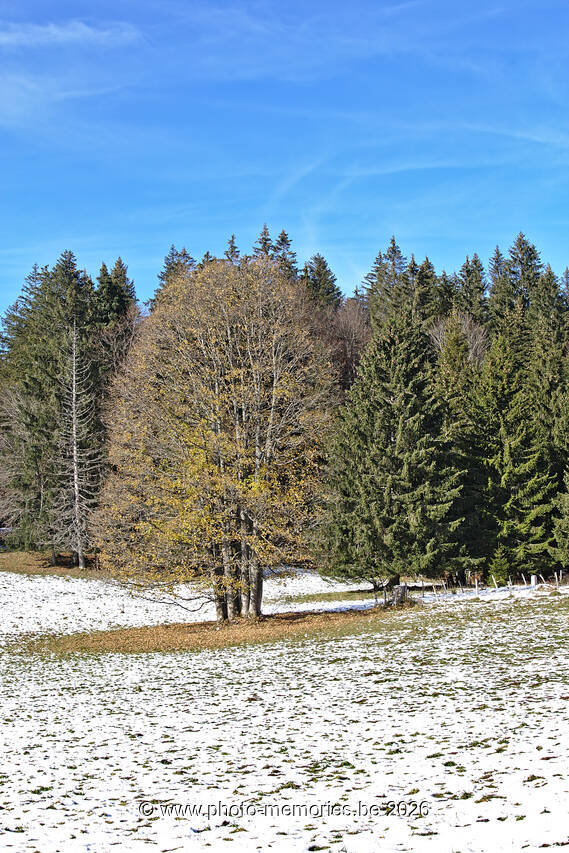2021-11-07-0054.jpg